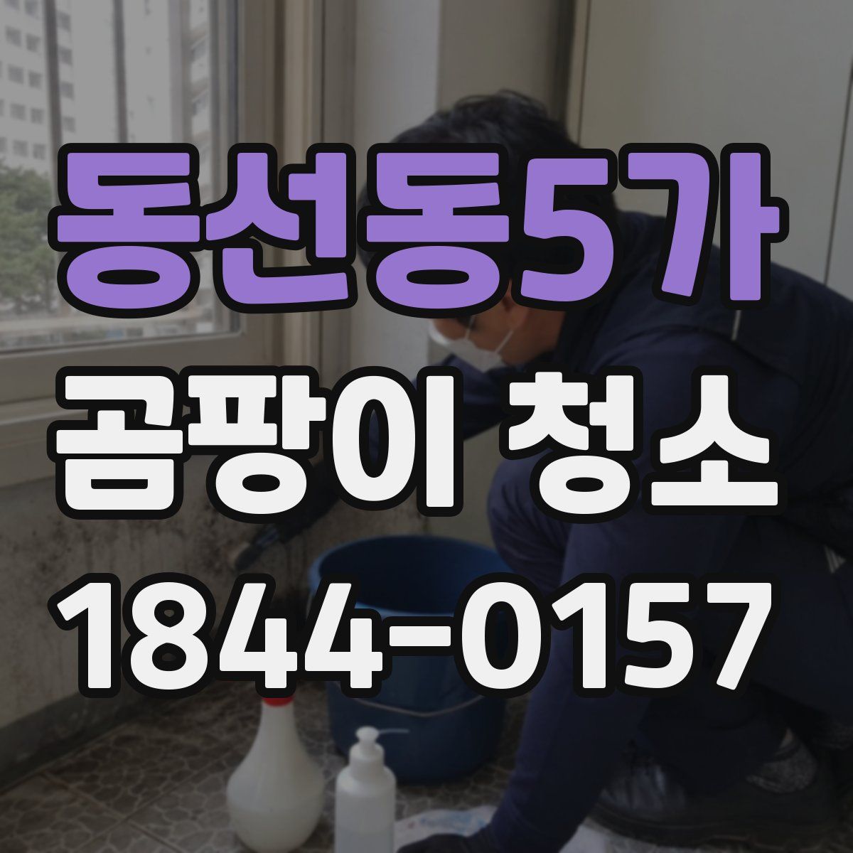 동선동5가 곰팡이 청소
