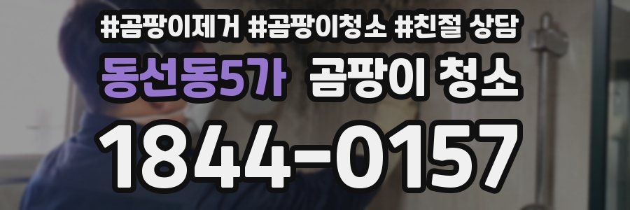 동선동5가 곰팡이 청소