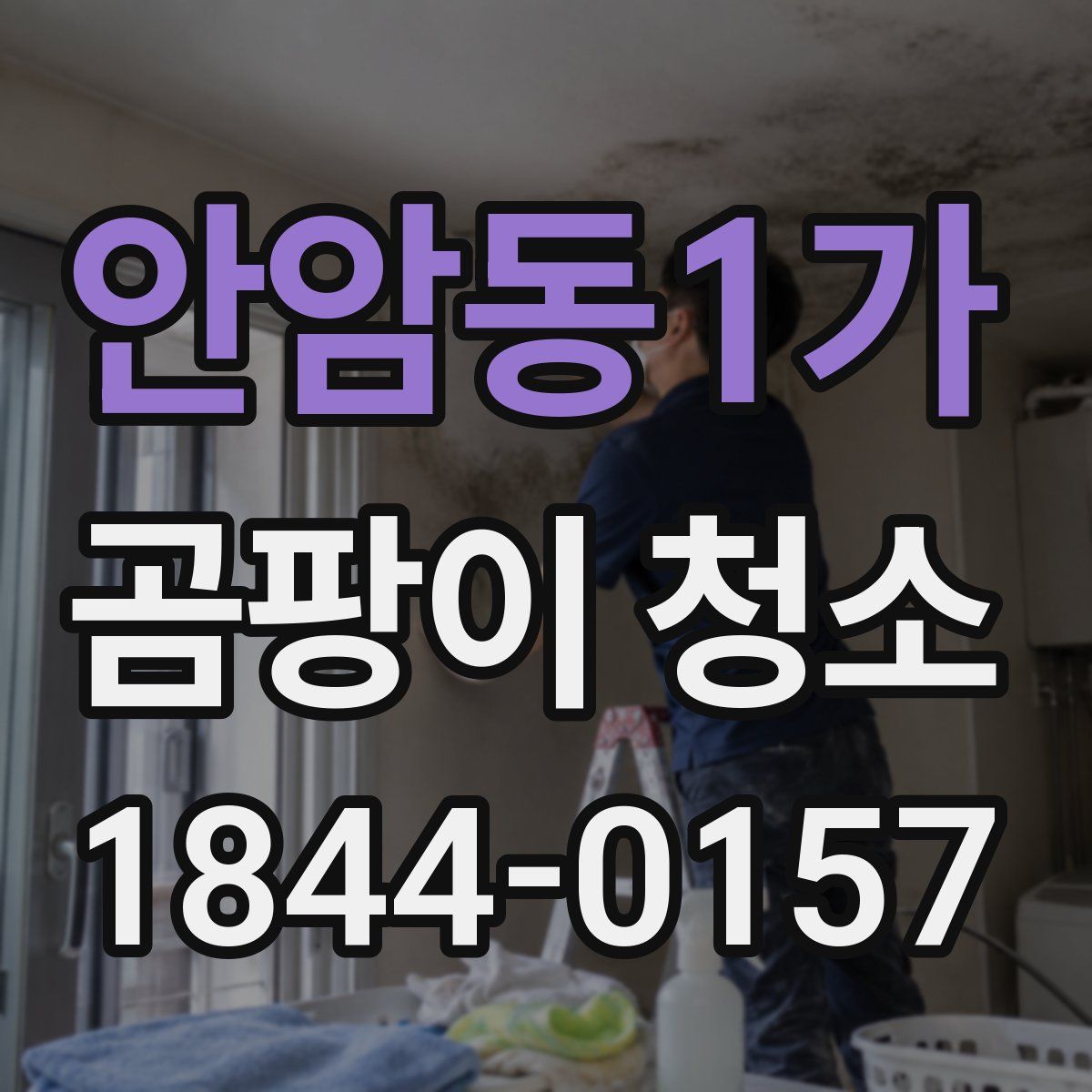 안암동1가 곰팡이 청소