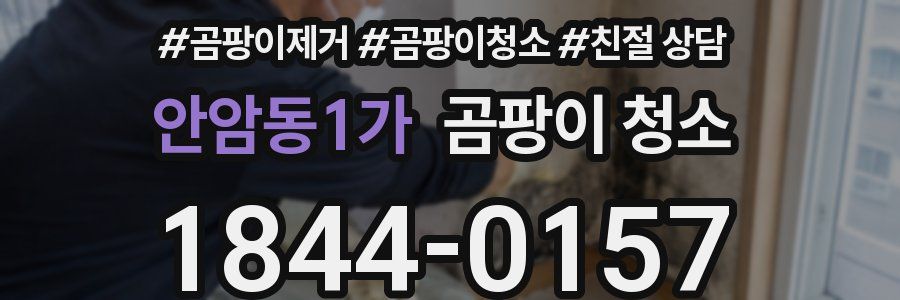 안암동1가 곰팡이 청소