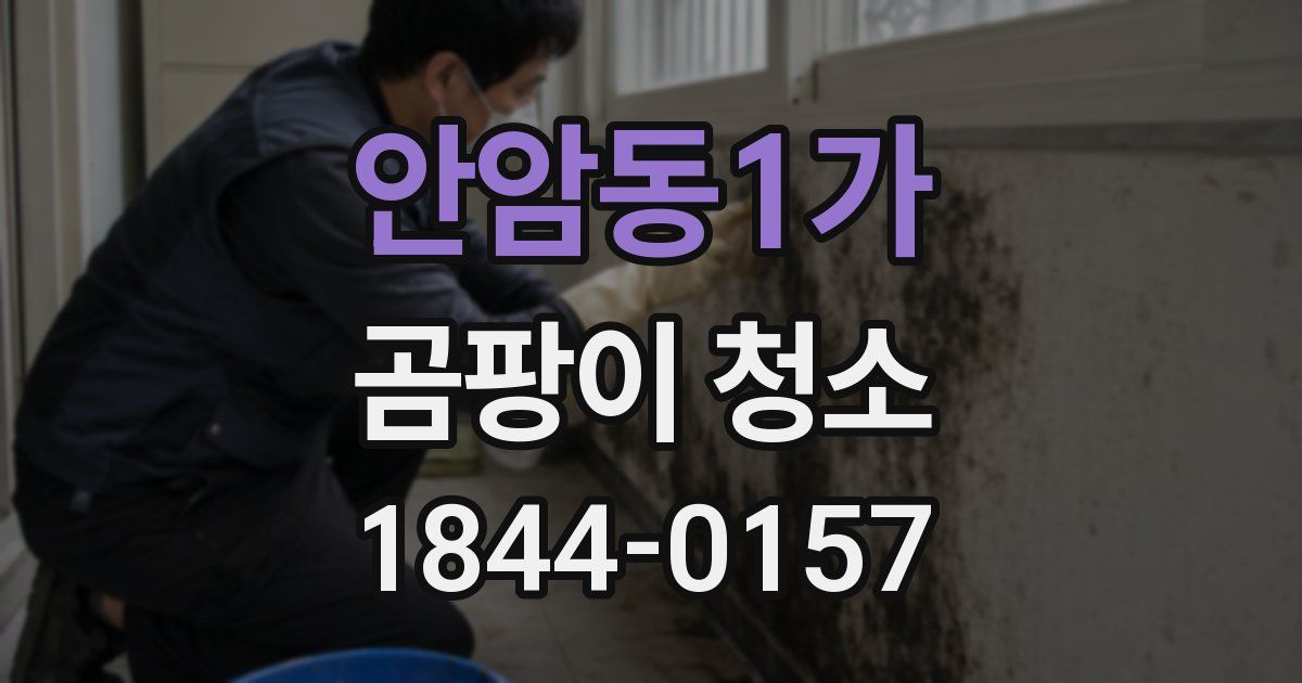 안암동1가 곰팡이 청소