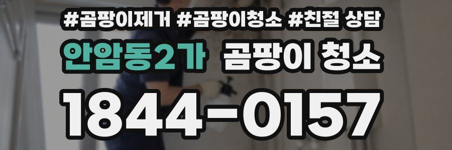안암동2가 곰팡이 청소