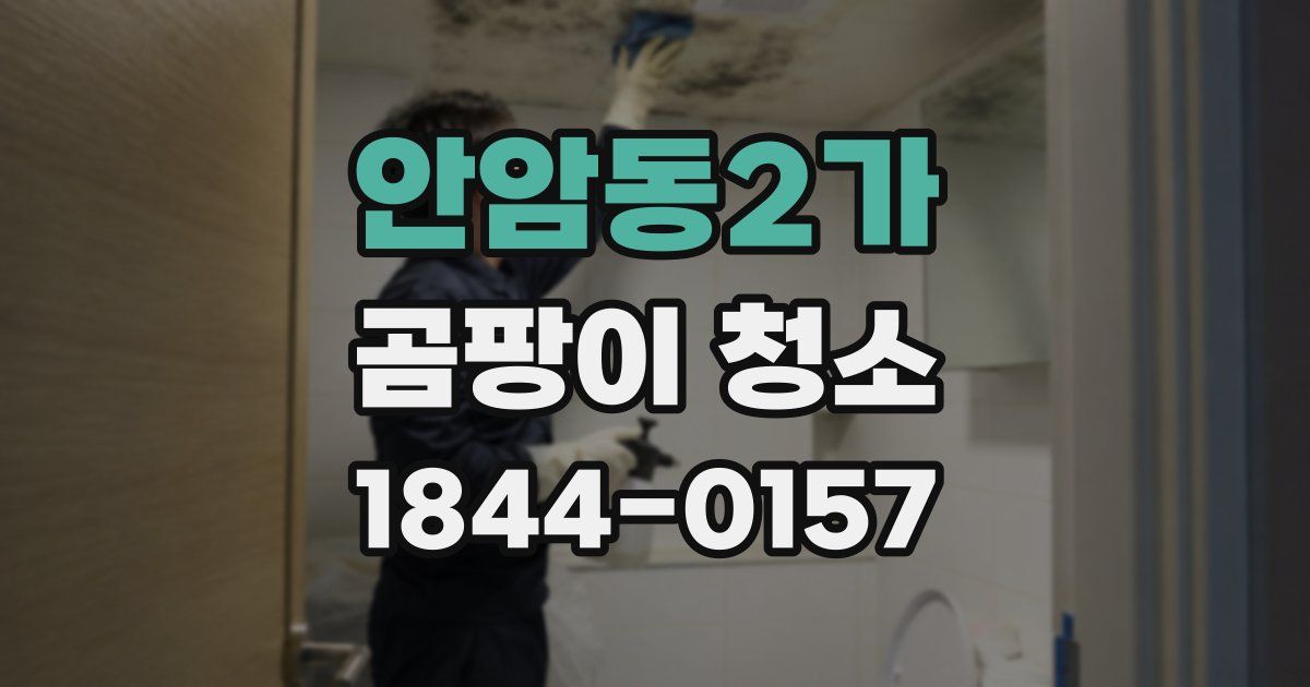 안암동2가 곰팡이 청소