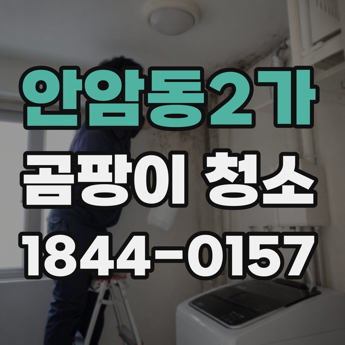 안암동2가 곰팡이 청소