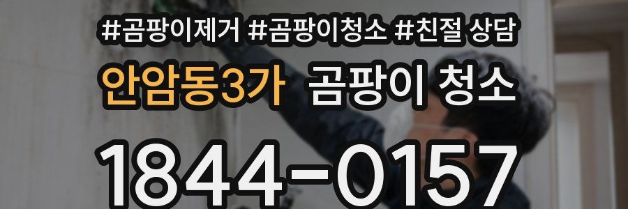 안암동3가 곰팡이 청소