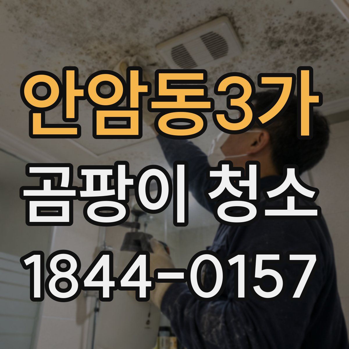 안암동3가 곰팡이 청소