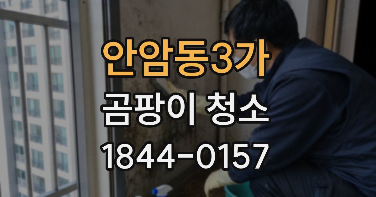 안암동3가 곰팡이 청소