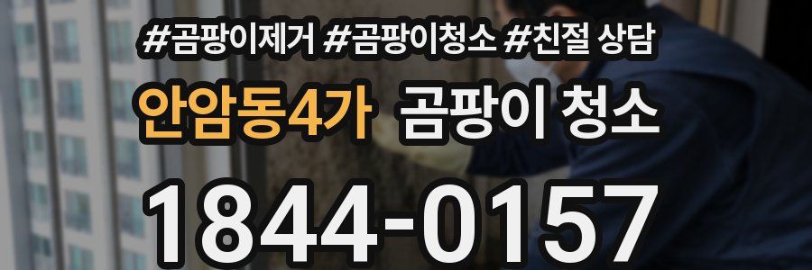 안암동4가 곰팡이 청소