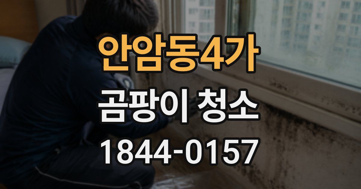 안암동4가 곰팡이 청소
