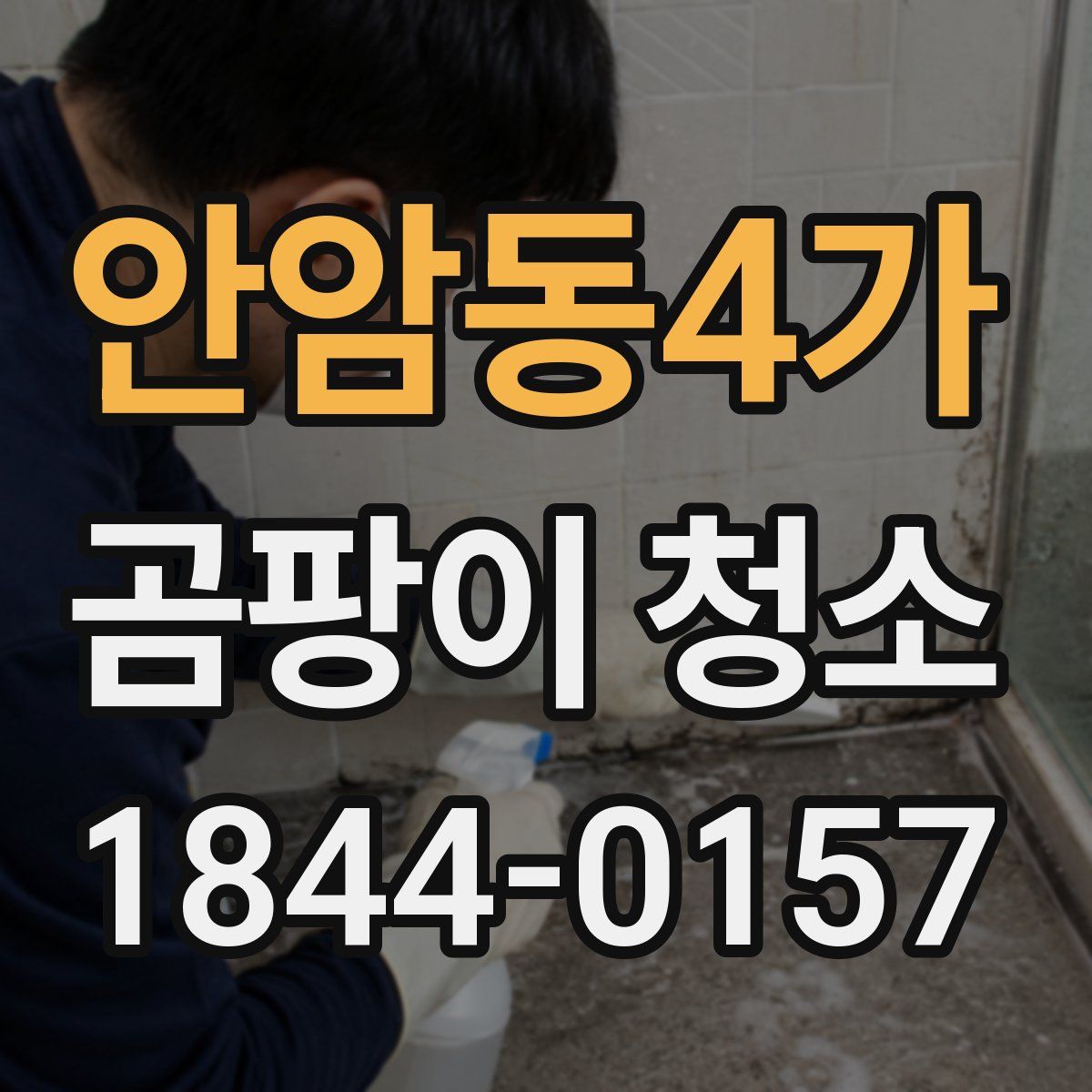 안암동4가 곰팡이 청소