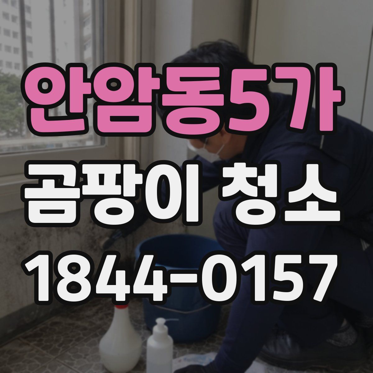 안암동5가 곰팡이 청소