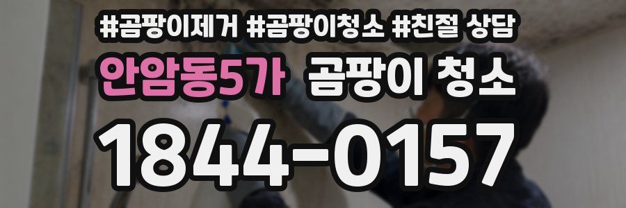 안암동5가 곰팡이 청소