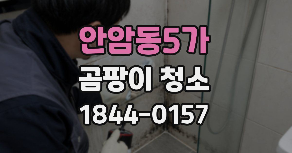 안암동5가 곰팡이 청소