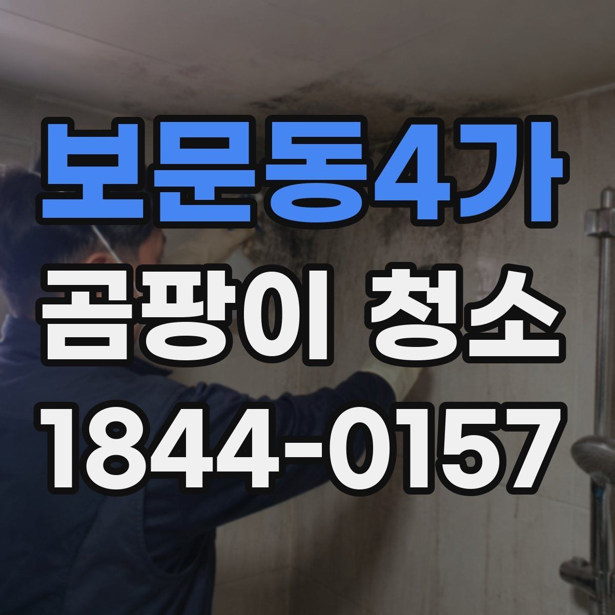 보문동4가 곰팡이 청소 비용은 어디서 달라질까