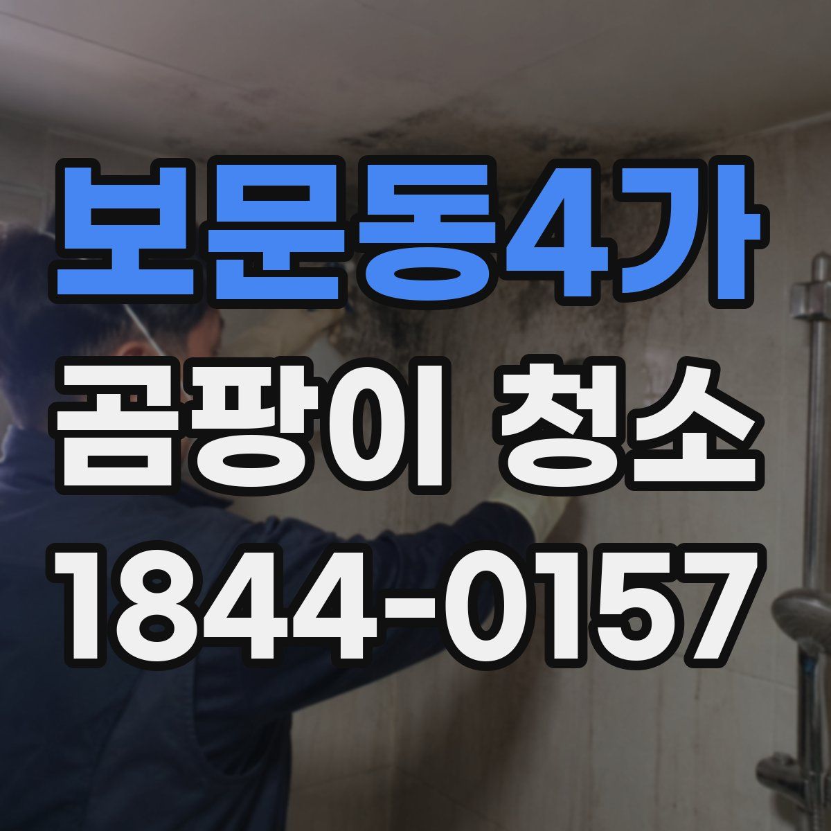 보문동4가 곰팡이 청소