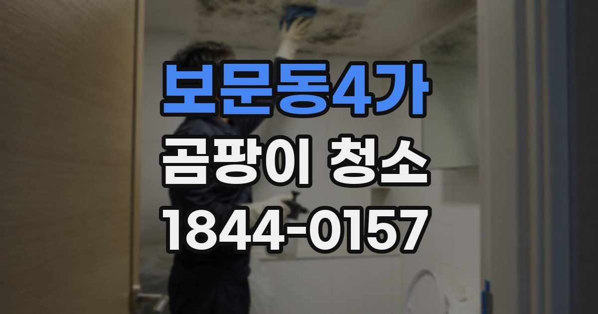 보문동4가 곰팡이 청소