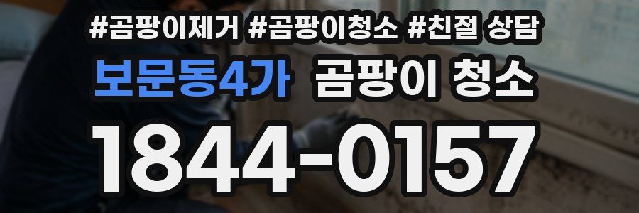 보문동4가 곰팡이 청소