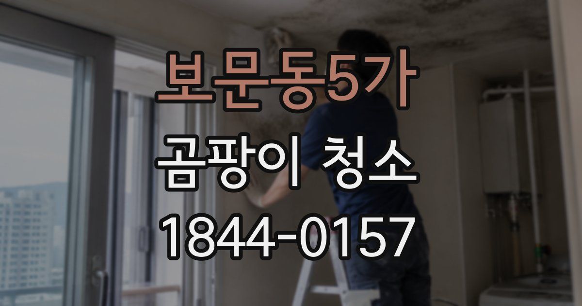 보문동5가 곰팡이 청소