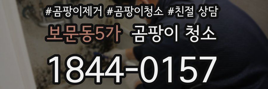 보문동5가 곰팡이 청소
