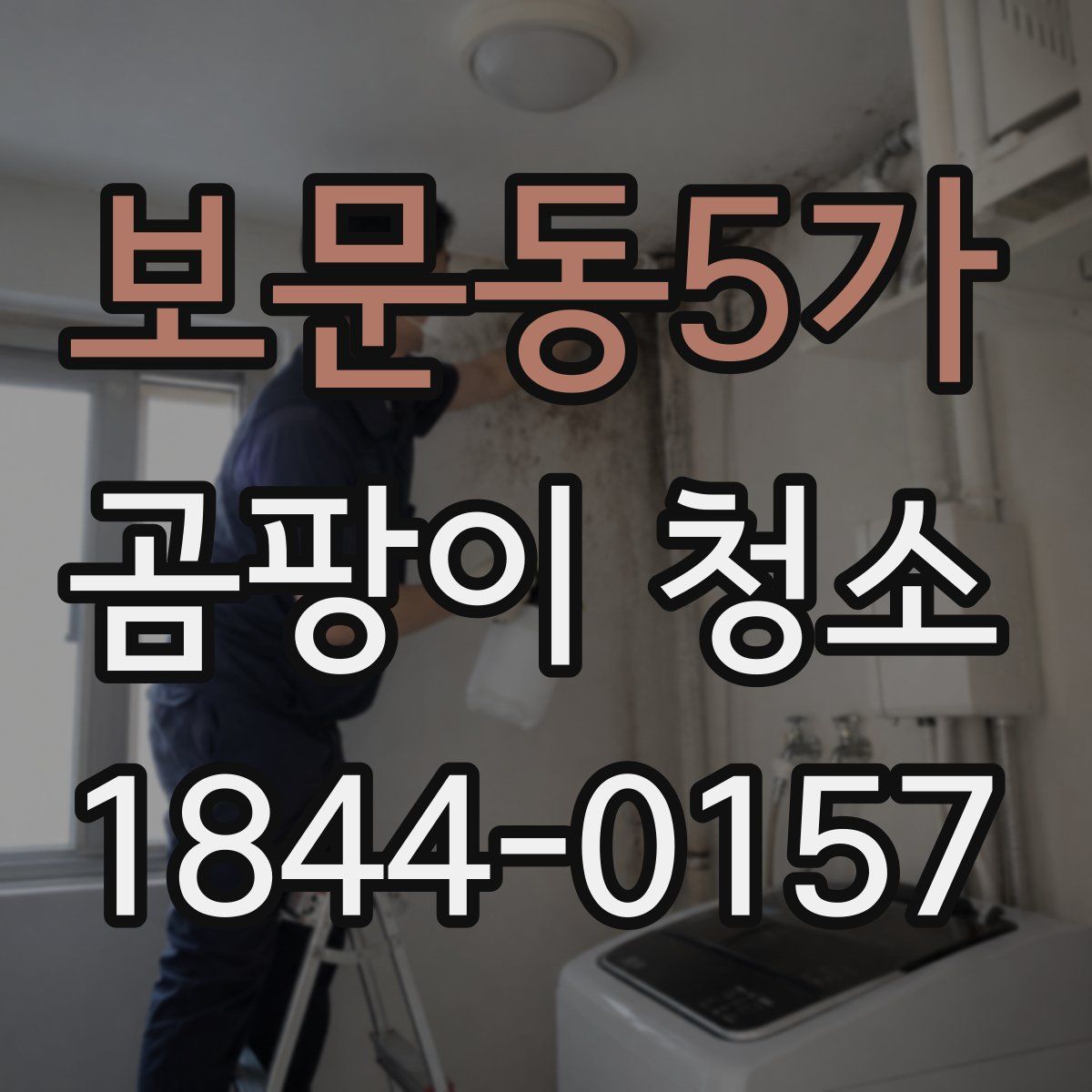 보문동5가 곰팡이 청소
