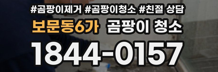 보문동6가 곰팡이 청소