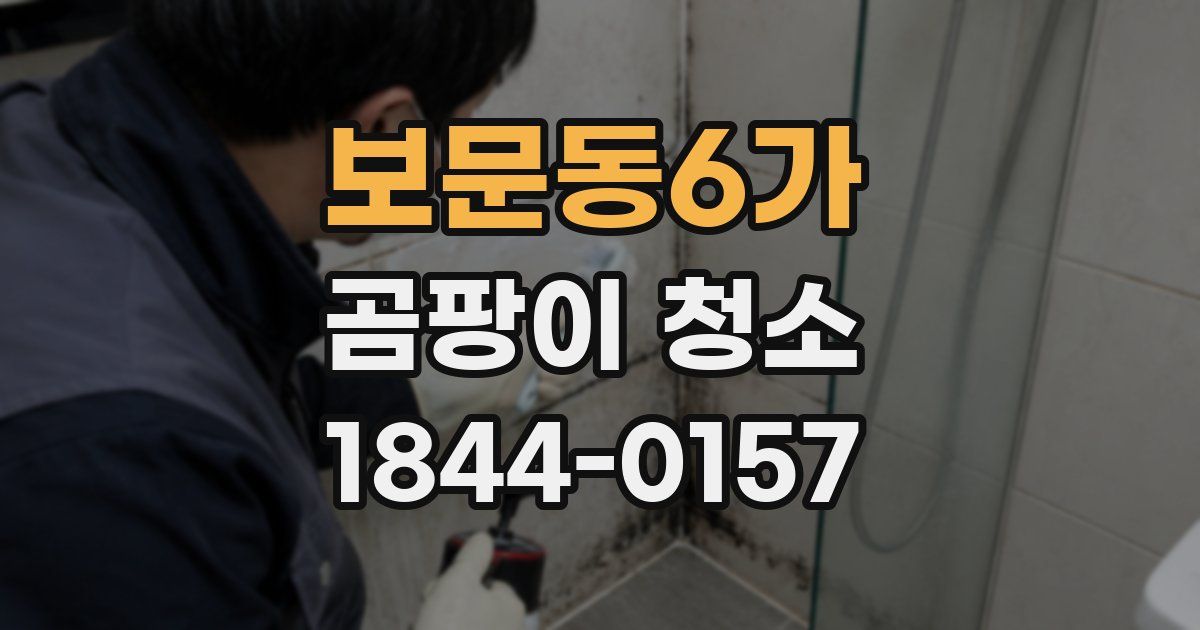 보문동6가 곰팡이 청소