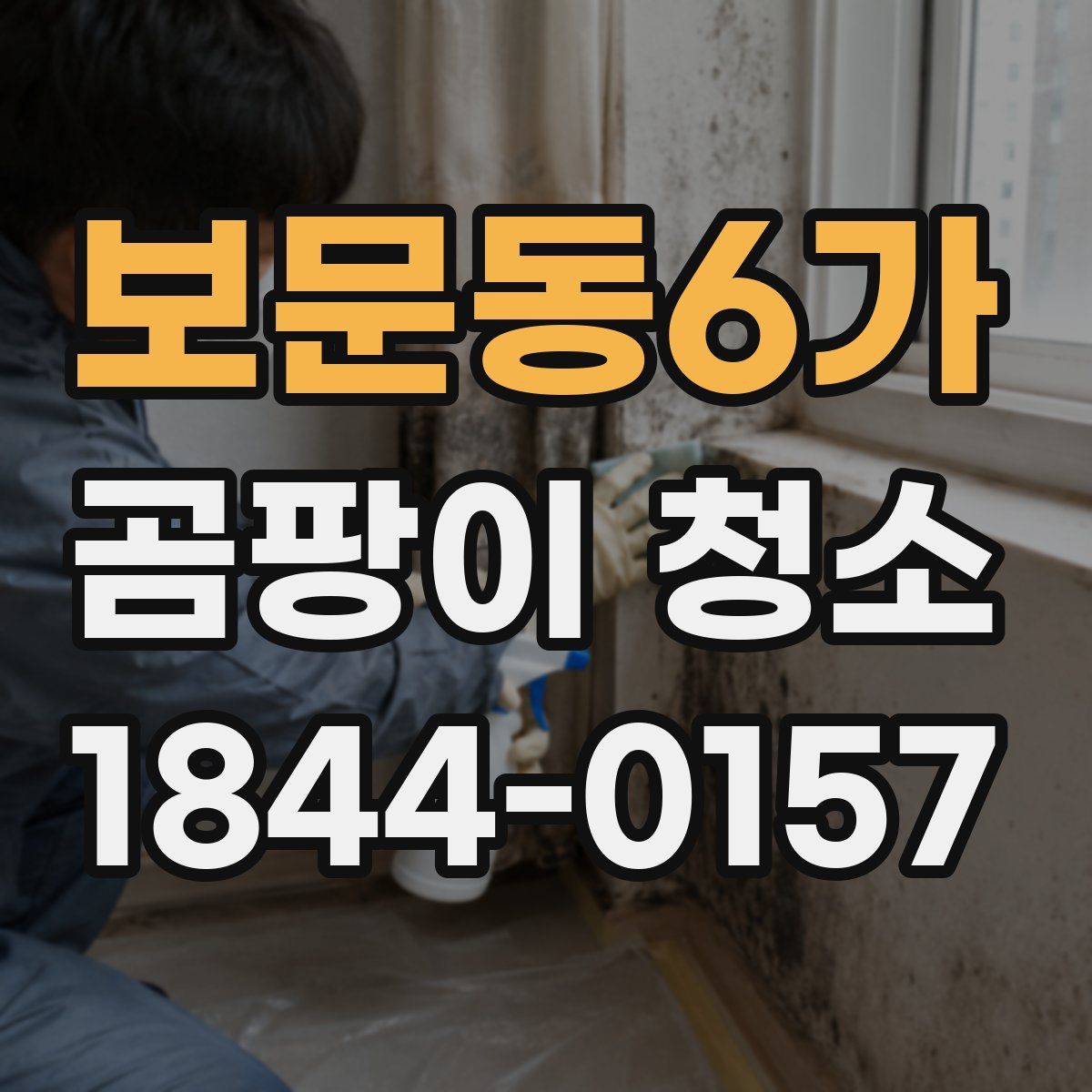 보문동6가 곰팡이 청소