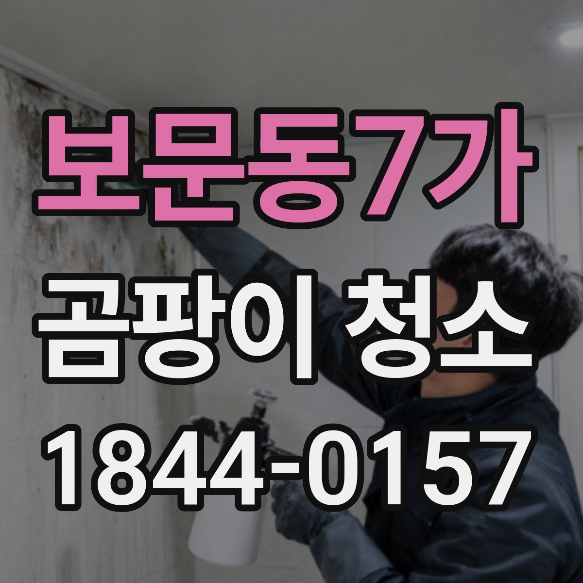보문동7가 곰팡이 청소