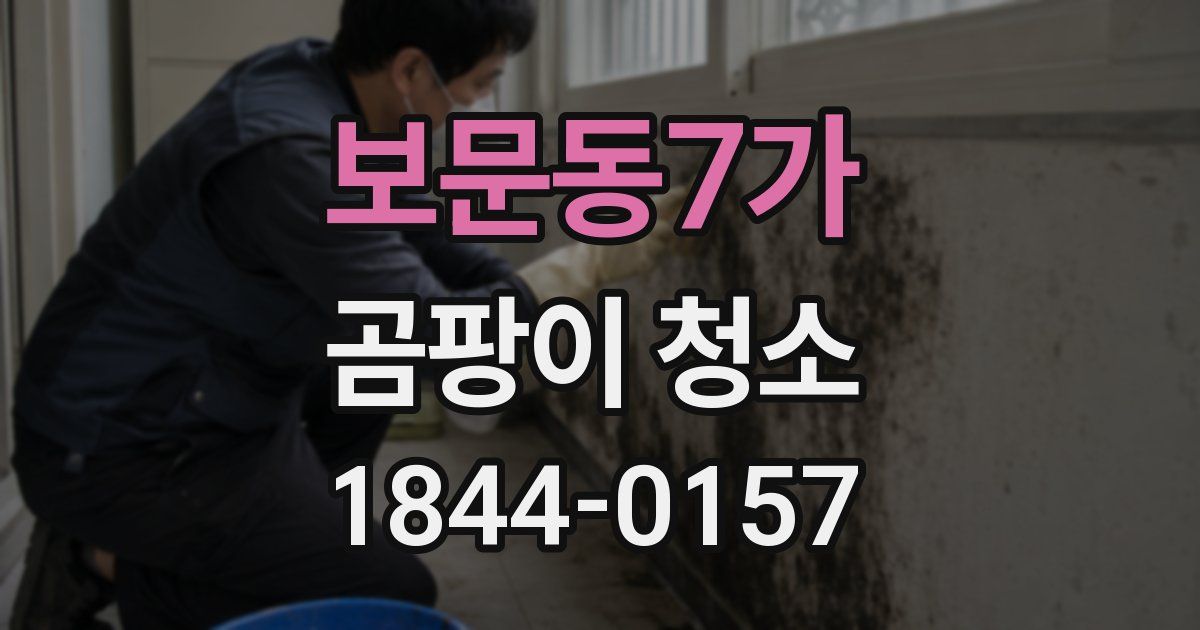 보문동7가 곰팡이 청소