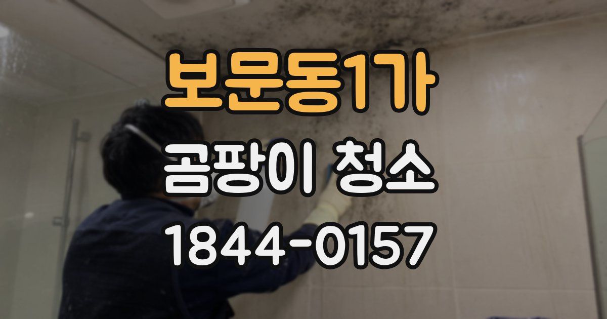 보문동1가 곰팡이 청소