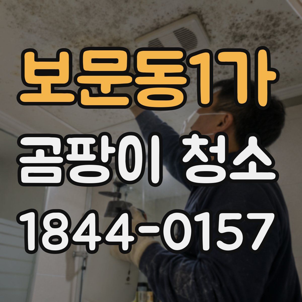 보문동1가 곰팡이 청소