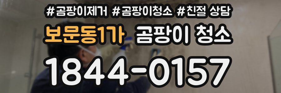 보문동1가 곰팡이 청소