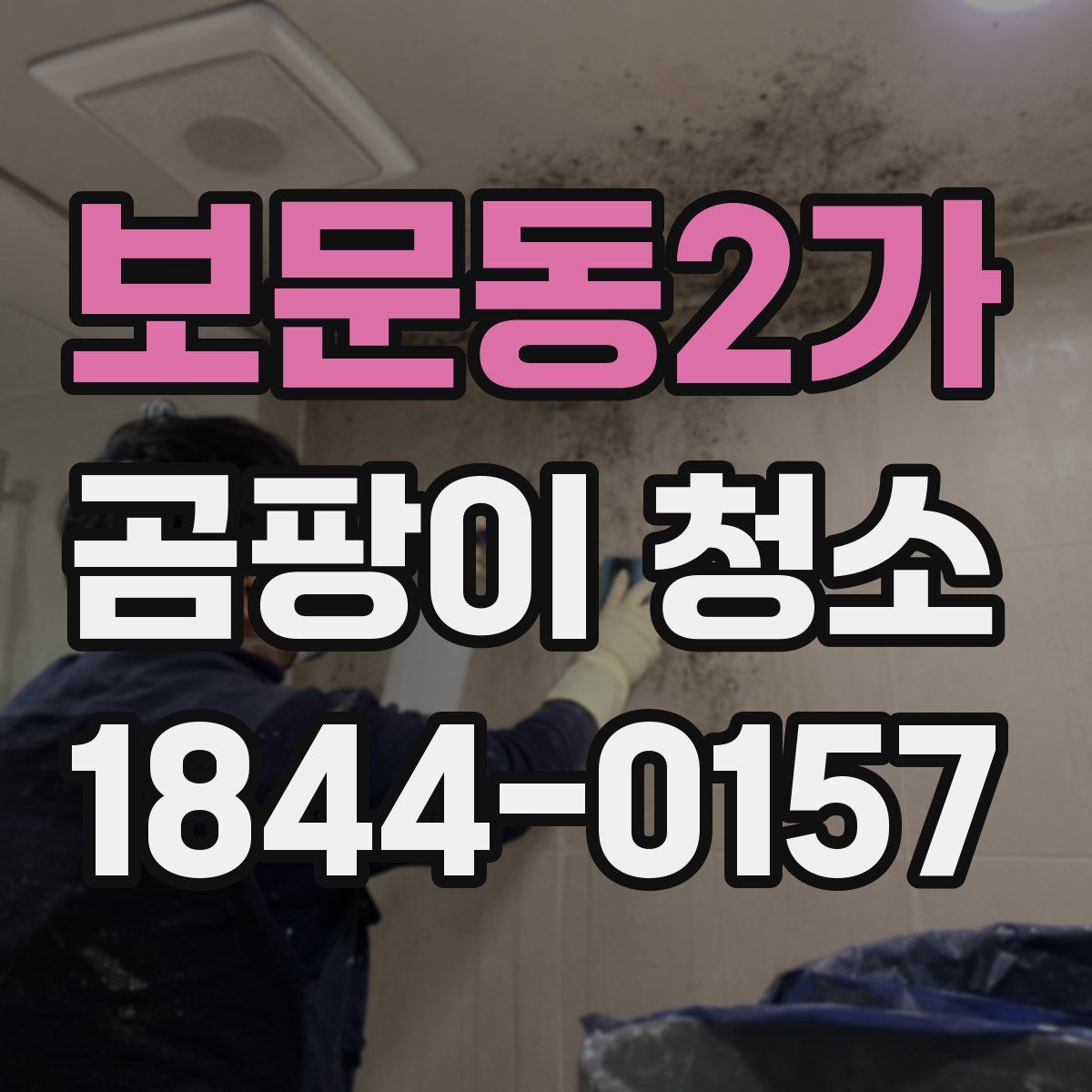 보문동2가 곰팡이 청소
