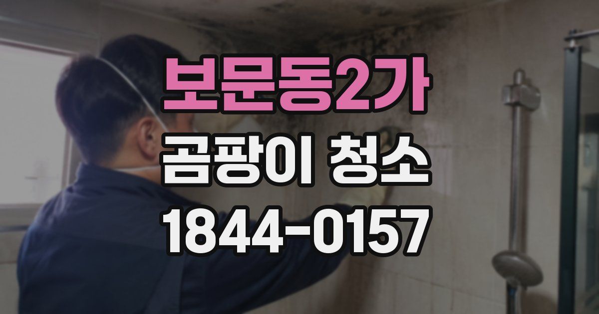 보문동2가 곰팡이 청소