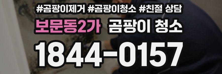 보문동2가 곰팡이 청소