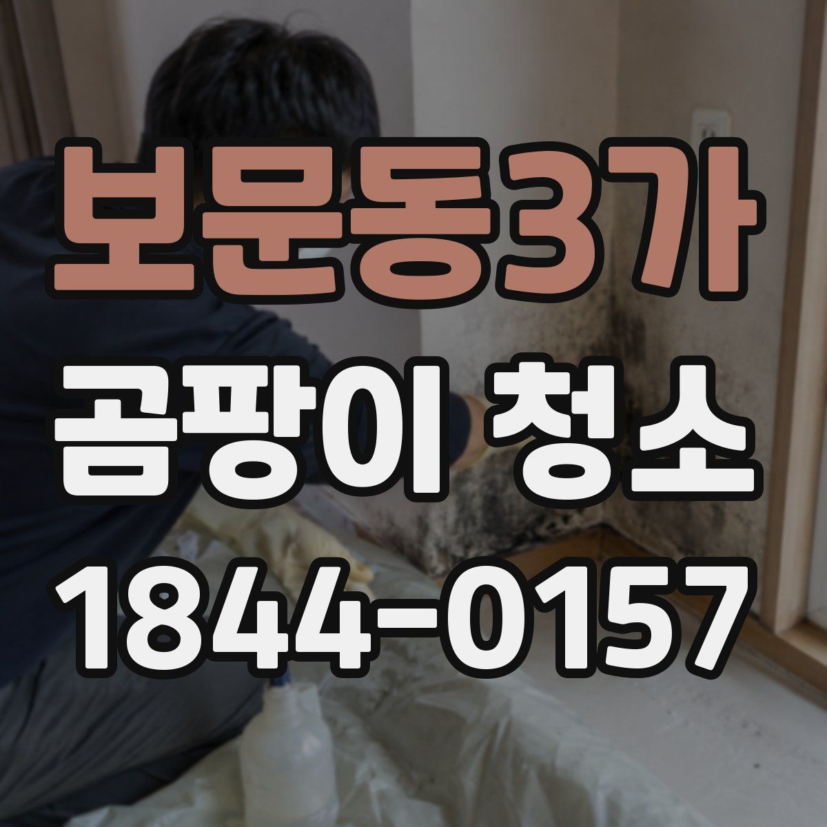 보문동3가 곰팡이 청소