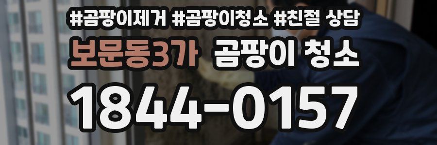 보문동3가 곰팡이 청소