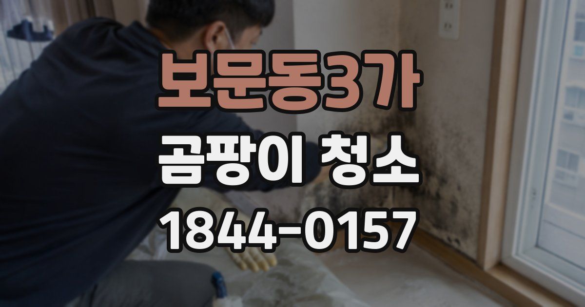 보문동3가 곰팡이 청소