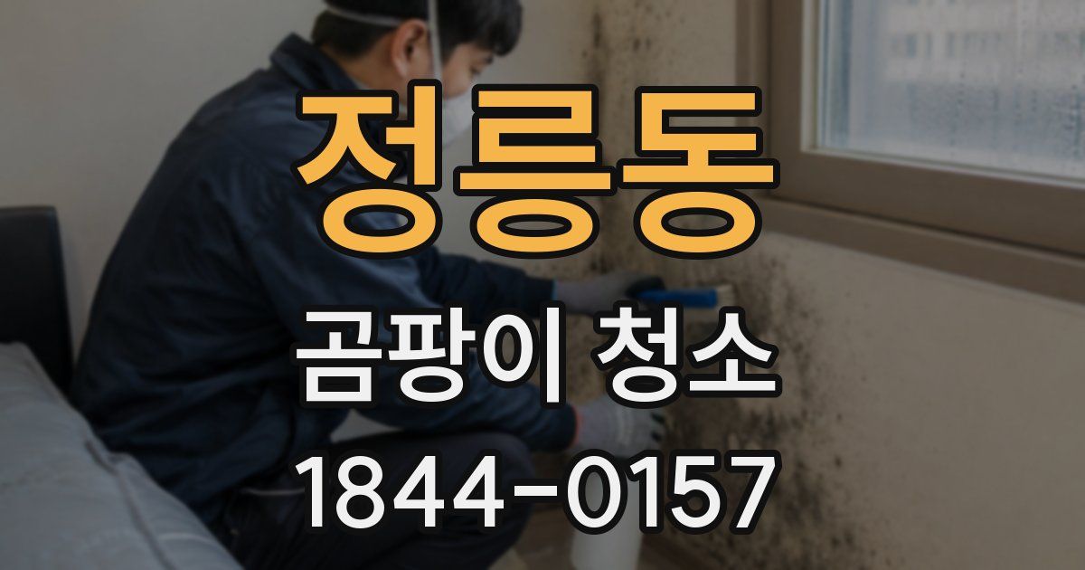 정릉동 곰팡이 청소