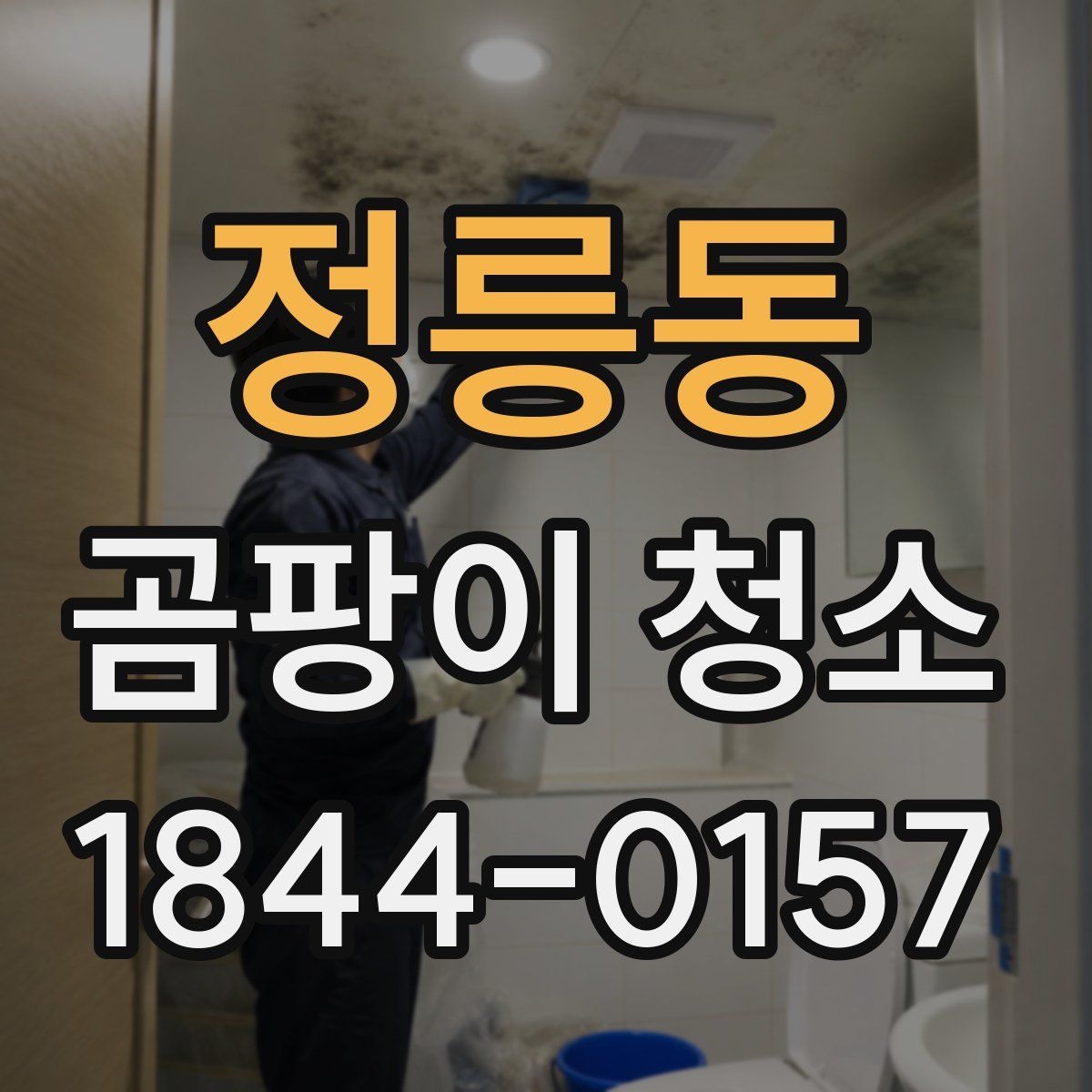 정릉동 곰팡이 청소