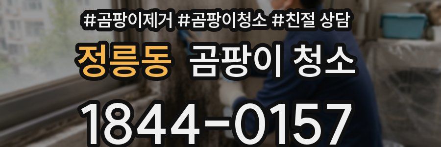 정릉동 곰팡이 청소