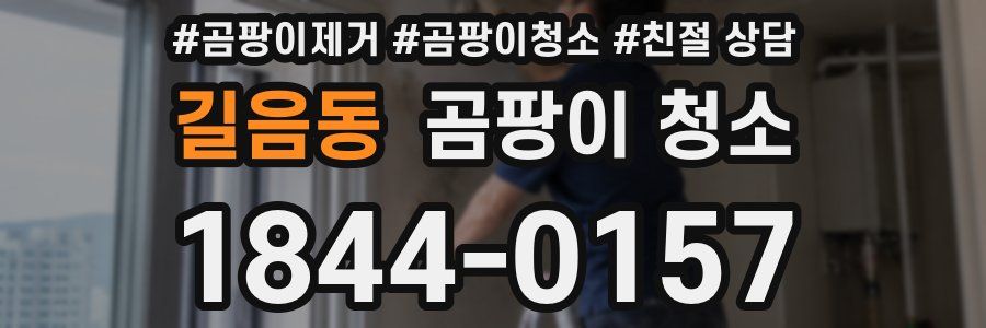 길음동 곰팡이 청소