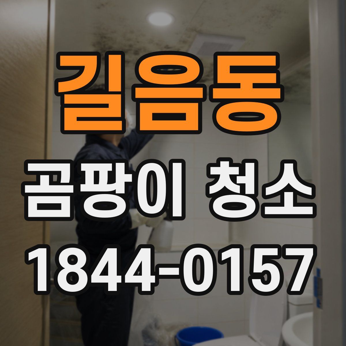 길음동 곰팡이 청소