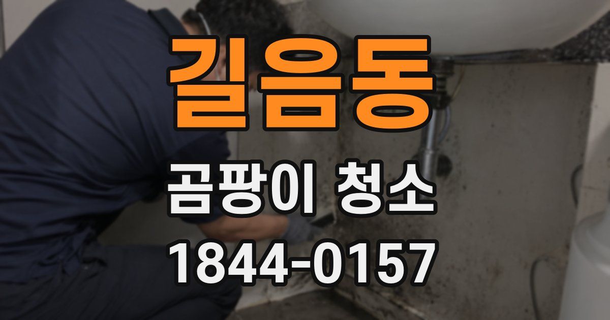 길음동 곰팡이 청소