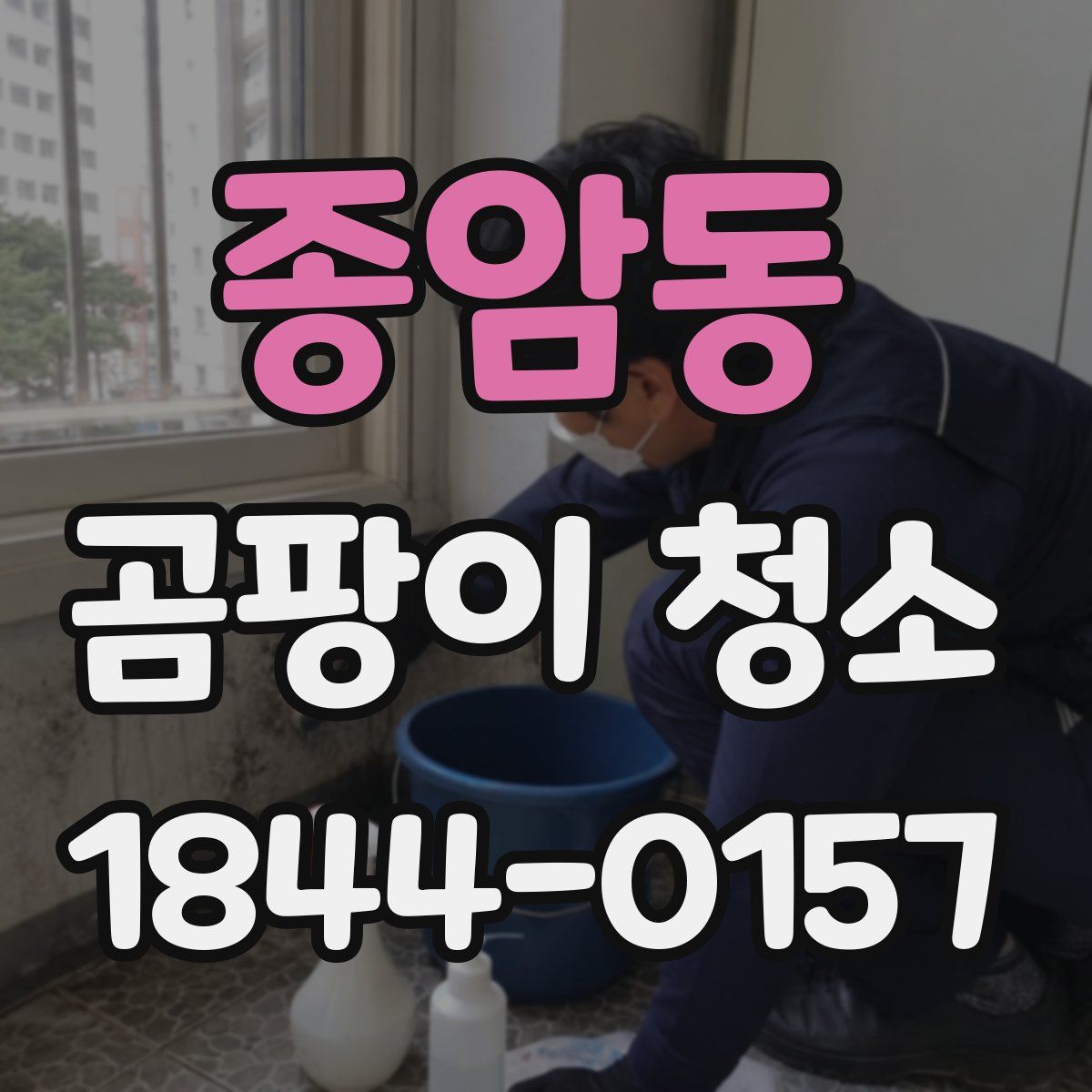 종암동 곰팡이 청소