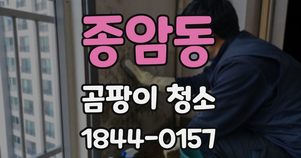 종암동 곰팡이 청소