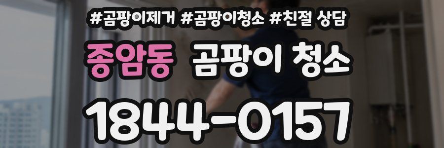 종암동 곰팡이 청소