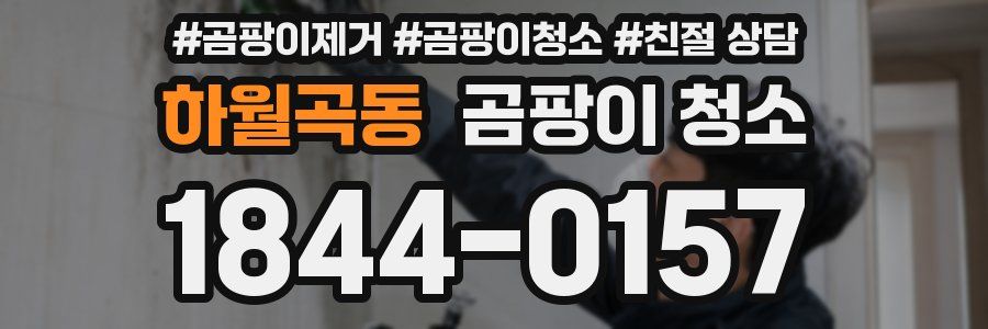 하월곡동 곰팡이 청소
