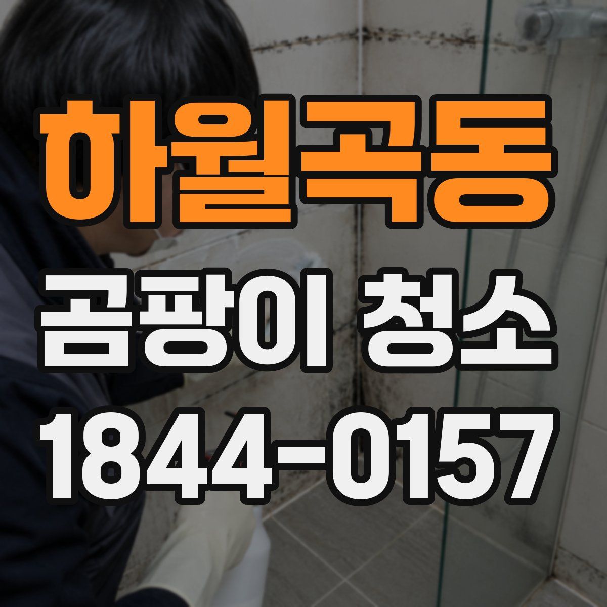 하월곡동 곰팡이 청소