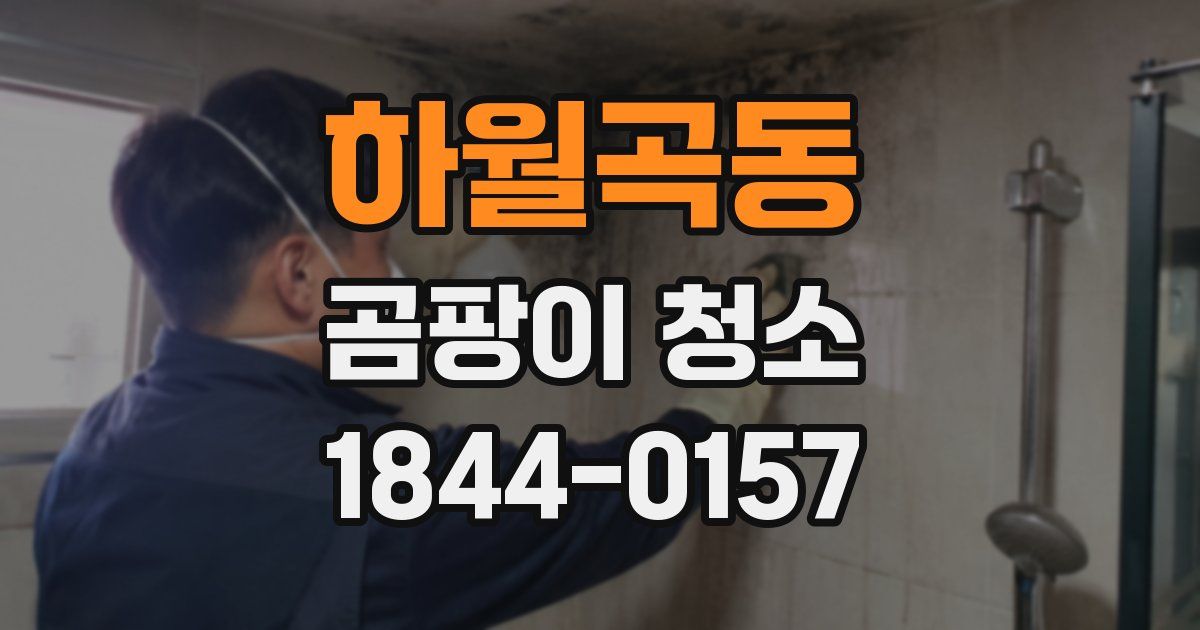 하월곡동 곰팡이 청소